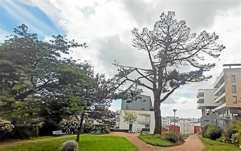 Le Pin's à Brest