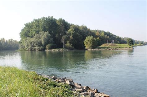 Le Rhin à Offendorf