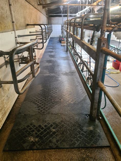 Le Roux à Ploudaniel