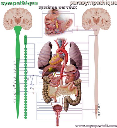 Le Sympatic à Vesly