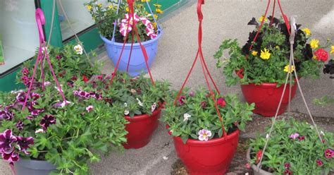 Le Tabac Fleuri à Simard