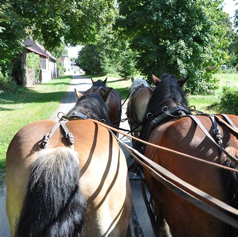 Le Val Domignon à Trefcon