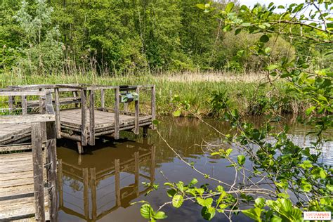 Le Verger de chevreuse à Chevreuse