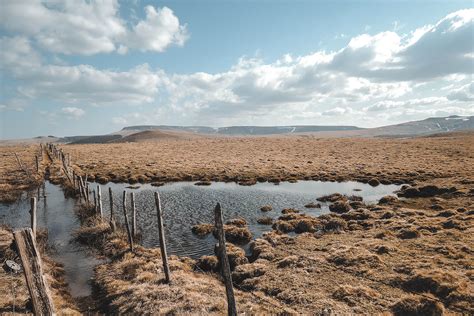 Le rucher de l'Amoureix à Ternant-les-Eaux