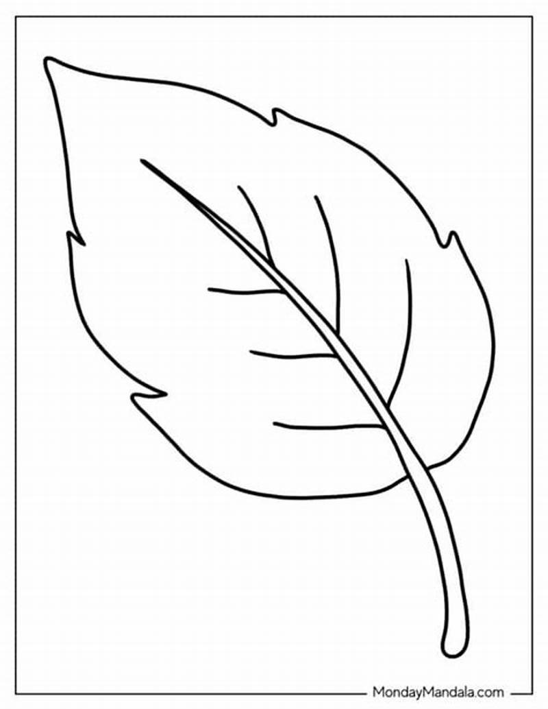 Leaf Coloring Pattern