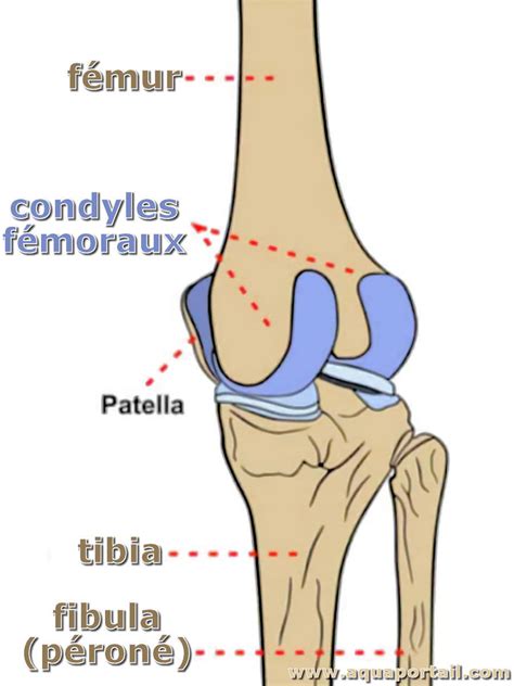 Ledomainevert à Troche