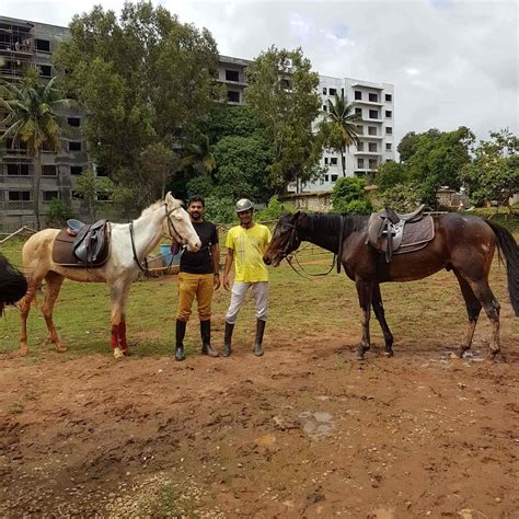 Legacy Horse Riding School Bangalore