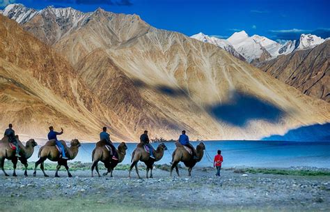 Leh Ladakh Tours and Travels - Frozen Highway