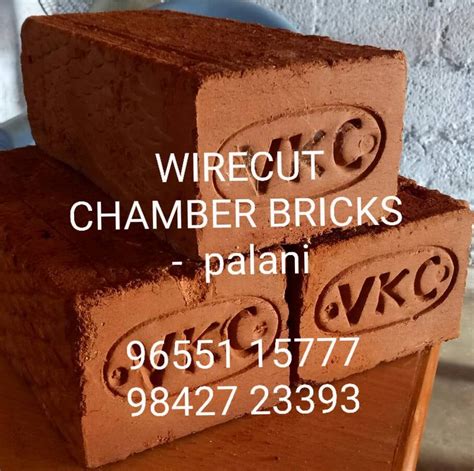 Leo Bricks (Wirecut Chamber Bricks)