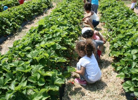 Les 2 Cueillettes de Compans à Compans