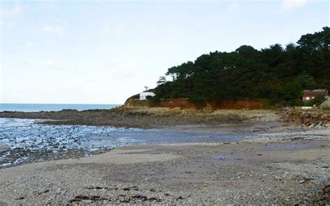 Les Algues à Locquirec