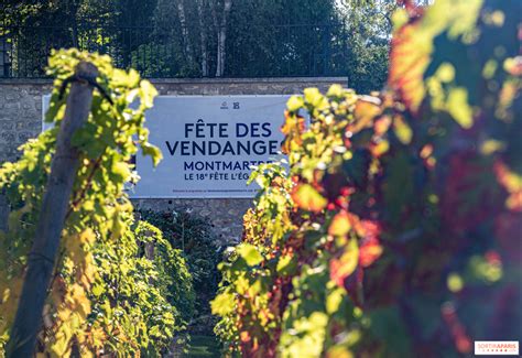 Les Vendanges à Paris