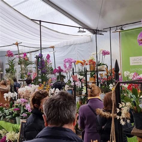 Les ateliers de Flora à Saint-Girons