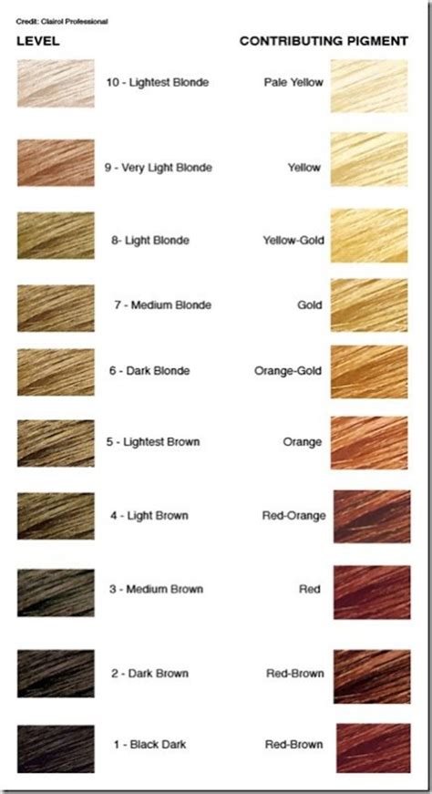 Level 9 Hair Color Chart
