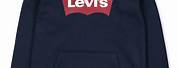 Levi's Kids Sweatshirt