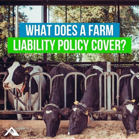 Liability coverage by Farmers home insurance