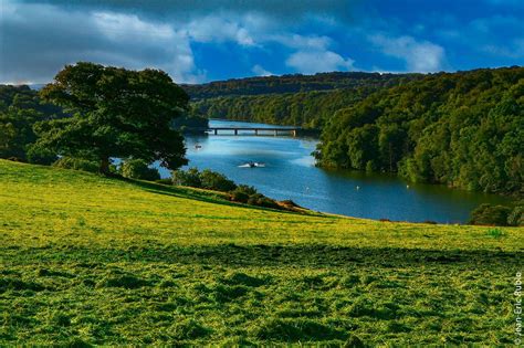 Ligneries à Putanges-le-Lac