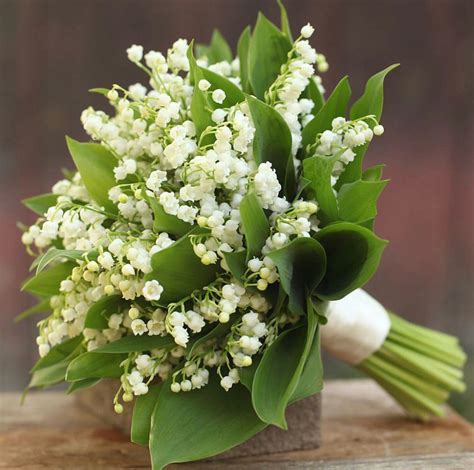 Lily-Of-The-Valley-Bouquet
