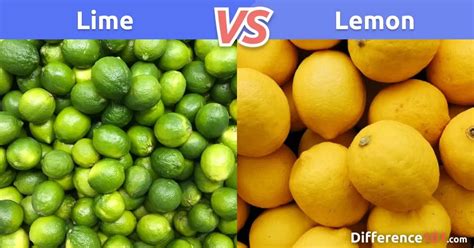 Lime VS Lemon