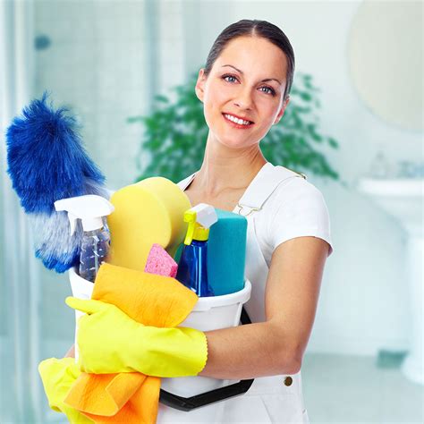 Lindsey's domestic cleaning services