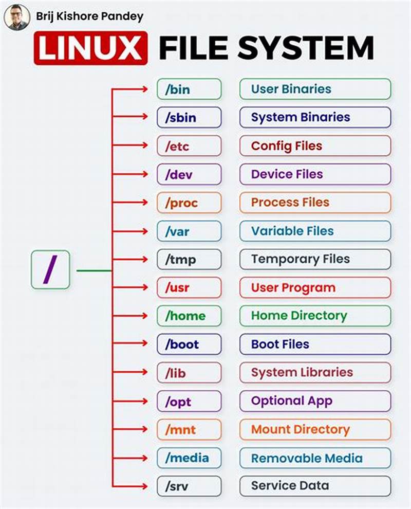 Linux List Files With Name Pattern