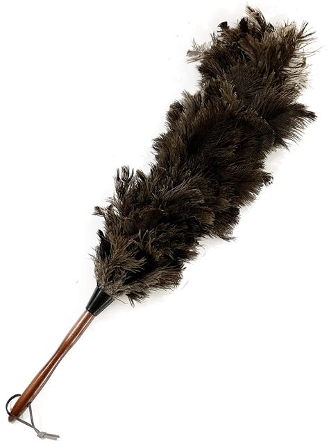 Little Feather Duster Cleaning Services