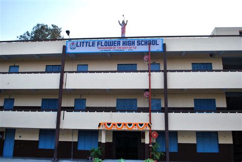 Little Flower high School