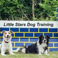 Little Stars Dog Training