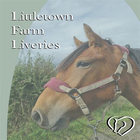 Littletown Farm Liveries