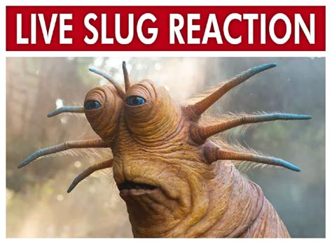 Live Slug Reaction Template