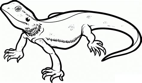 Lizard Printable Coloring Pages