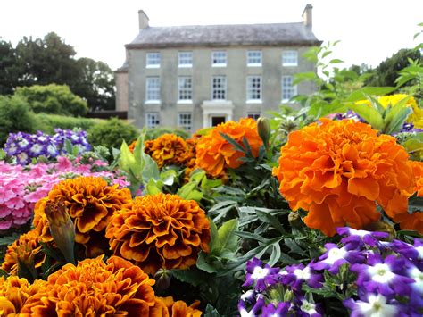 Llanerchrugog Hall