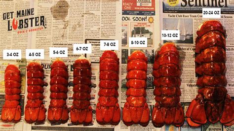 Lobster Tail Size Chart