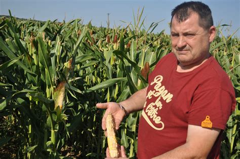 Local de fraise de Pascal LEVADE à Reyniès