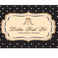 Lolita Posh Pet