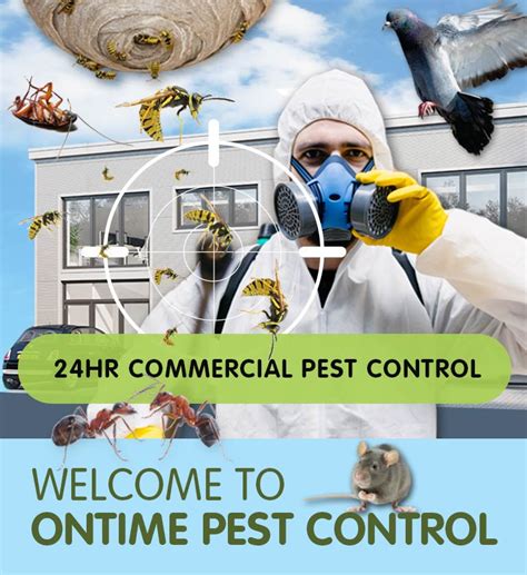 London Pest Control LTD