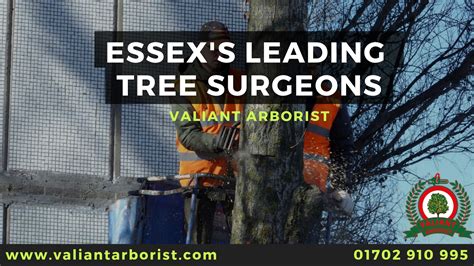 London and Essex Tree Surgeons