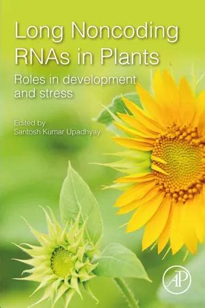 ## Download Pdf Long Noncoding RNAs Books