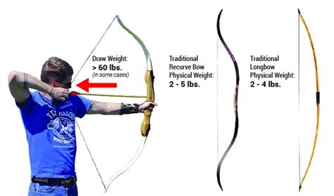 Longbow Draw Weight