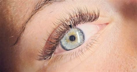 Look At Mie à Genlis