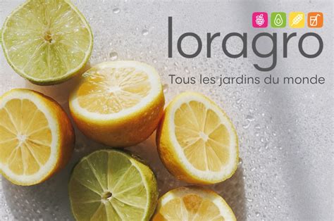 Loragro à Lavaur