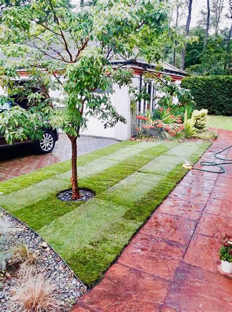 Lothian Tree and Landscaping Specialists