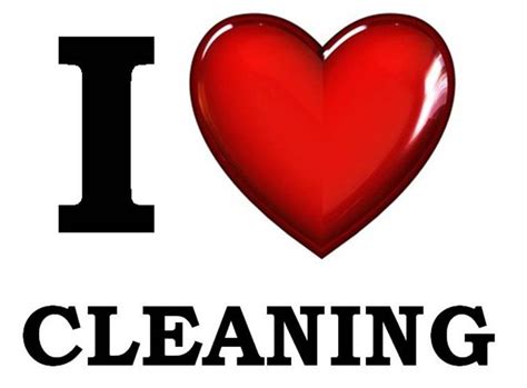Love Cleaning Ni