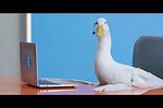 Lowe Commercials Goose