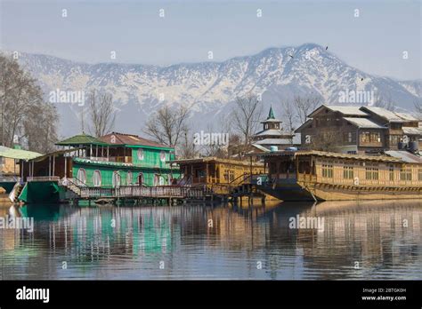 Lucid kashmir tours and travels