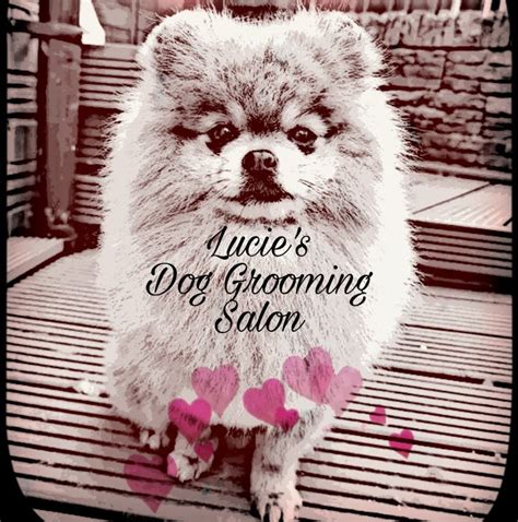 Lucie's Dog Grooming Salon