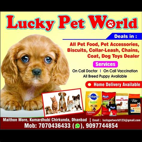 Lucky's pet world mumbai