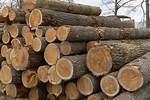 Lumber for Sale