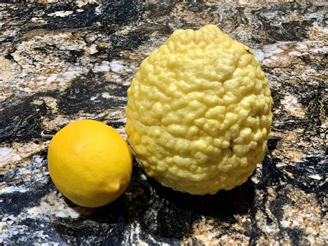 Lumpy Lemon