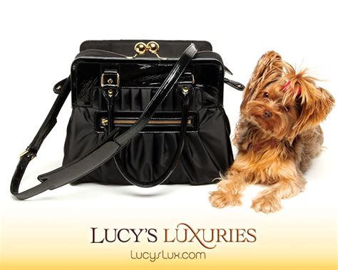 Luxuries with Lucy